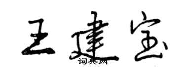 曾慶福王建寶行書個性簽名怎么寫