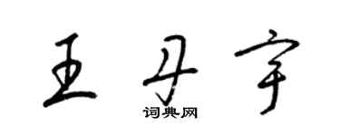 梁錦英王丹宇草書個性簽名怎么寫