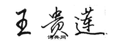 駱恆光王貴蓮行書個性簽名怎么寫