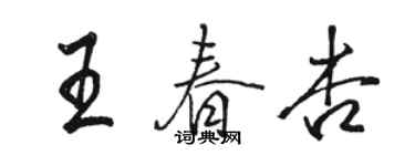駱恆光王春杏行書個性簽名怎么寫