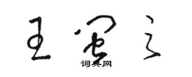 駱恆光王閩之草書個性簽名怎么寫