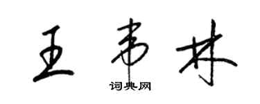 梁錦英王韋林草書個性簽名怎么寫