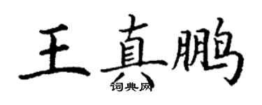 丁謙王真鵬楷書個性簽名怎么寫