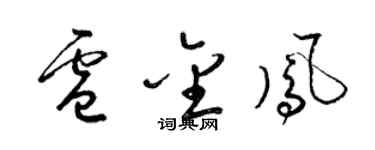 梁錦英盧金鳳草書個性簽名怎么寫