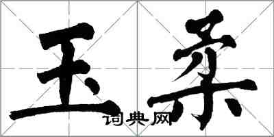 翁闓運玉柔楷書怎么寫