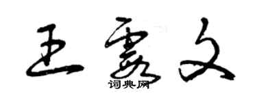 曾慶福王霞文草書個性簽名怎么寫