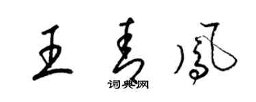 梁錦英王青鳳草書個性簽名怎么寫