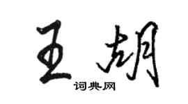 駱恆光王胡行書個性簽名怎么寫