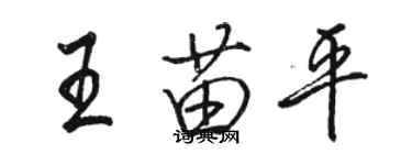 駱恆光王苗平行書個性簽名怎么寫