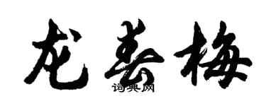 胡問遂龍春梅行書個性簽名怎么寫