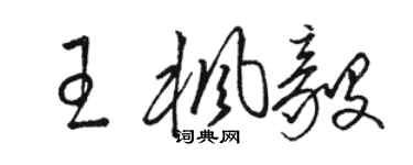 駱恆光王楓毅草書個性簽名怎么寫