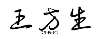 曾慶福王方生草書個性簽名怎么寫