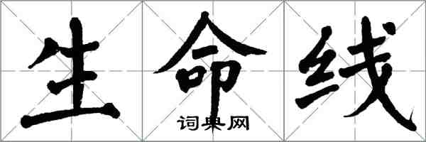 翁闓運生命線楷書怎么寫