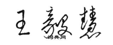 駱恆光王毅慧草書個性簽名怎么寫