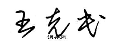 朱錫榮王克民草書個性簽名怎么寫