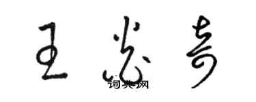 駱恆光王炎奇草書個性簽名怎么寫