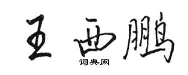 駱恆光王西鵬行書個性簽名怎么寫