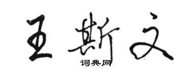 駱恆光王斯文行書個性簽名怎么寫