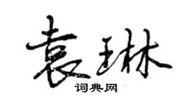 曾慶福袁琳行書個性簽名怎么寫