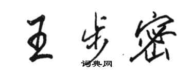 駱恆光王步密行書個性簽名怎么寫