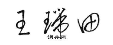 駱恆光王瑞田草書個性簽名怎么寫