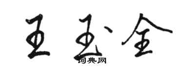 駱恆光王玉全行書個性簽名怎么寫