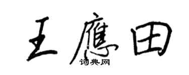 王正良王應田行書個性簽名怎么寫