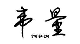 朱錫榮韋量草書個性簽名怎么寫