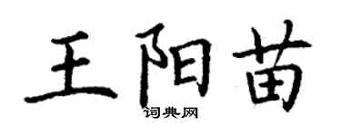 丁謙王陽苗楷書個性簽名怎么寫