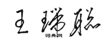 駱恆光王瑞聰草書個性簽名怎么寫