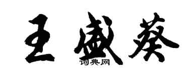胡問遂王盛葵行書個性簽名怎么寫