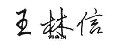 駱恆光王林信行書個性簽名怎么寫