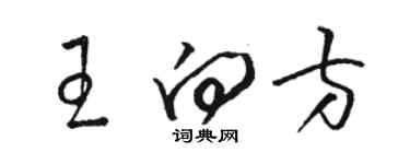 駱恆光王向方草書個性簽名怎么寫