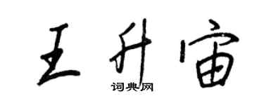 王正良王升宙行書個性簽名怎么寫