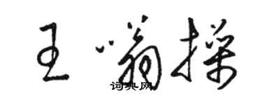 駱恆光王嗡操草書個性簽名怎么寫