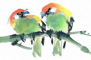 關於小鳥的作文 小鳥作文專題