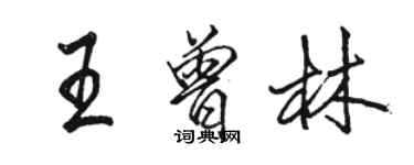 駱恆光王曾林行書個性簽名怎么寫