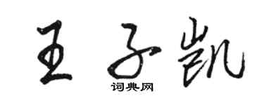 駱恆光王子凱行書個性簽名怎么寫