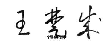 駱恆光王楚成草書個性簽名怎么寫
