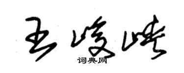 朱錫榮王峻峽草書個性簽名怎么寫