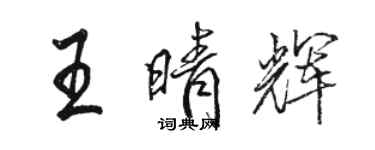駱恆光王晴輝行書個性簽名怎么寫
