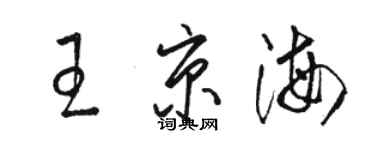 駱恆光王京海草書個性簽名怎么寫