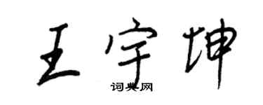 王正良王宇坤行書個性簽名怎么寫