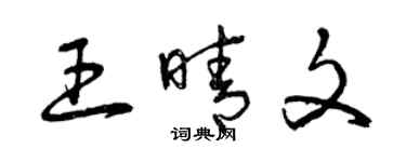 曾慶福王晴文草書個性簽名怎么寫