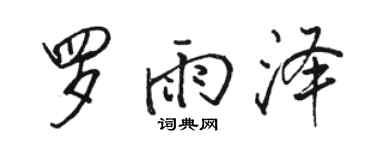 駱恆光羅雨澤行書個性簽名怎么寫