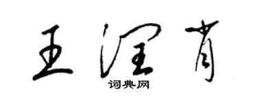 梁錦英王潤肖草書個性簽名怎么寫