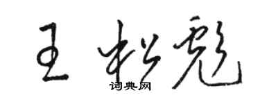駱恆光王松彪草書個性簽名怎么寫