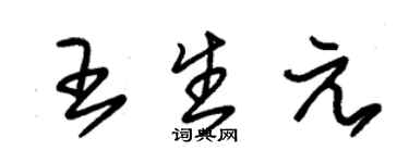 朱錫榮王生元草書個性簽名怎么寫