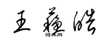 梁錦英王蘇皓草書個性簽名怎么寫