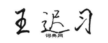 駱恆光王遲習行書個性簽名怎么寫